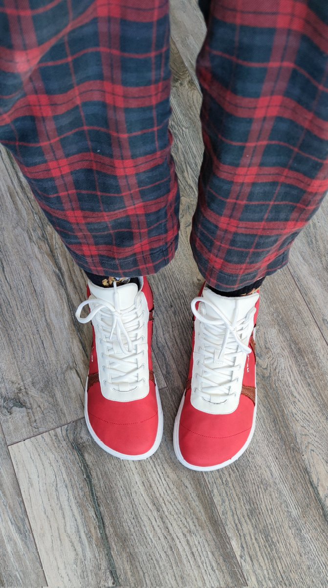 Kit (Ryu) 🐅 tweet media