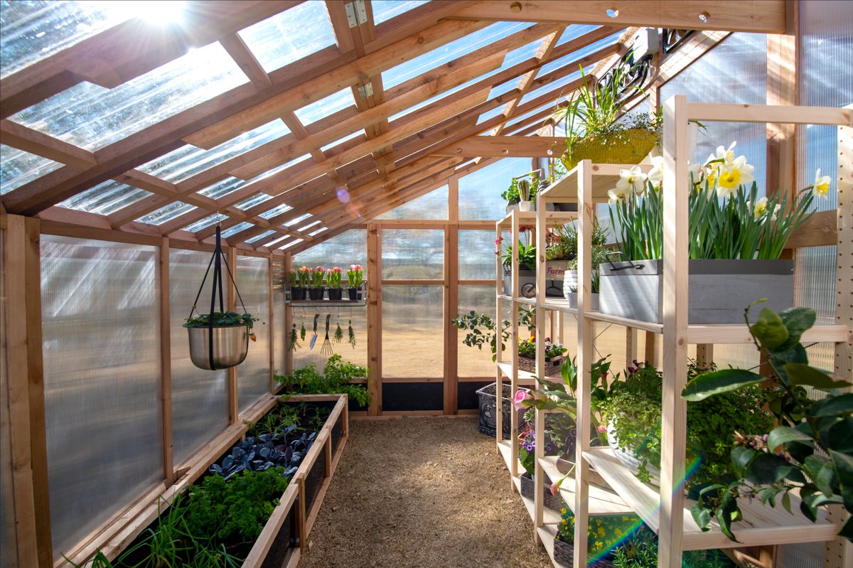 roostnroot's tweet image. Spring is in the air! 🌷

#slantroofgreenhouse #roostandroot #gardening