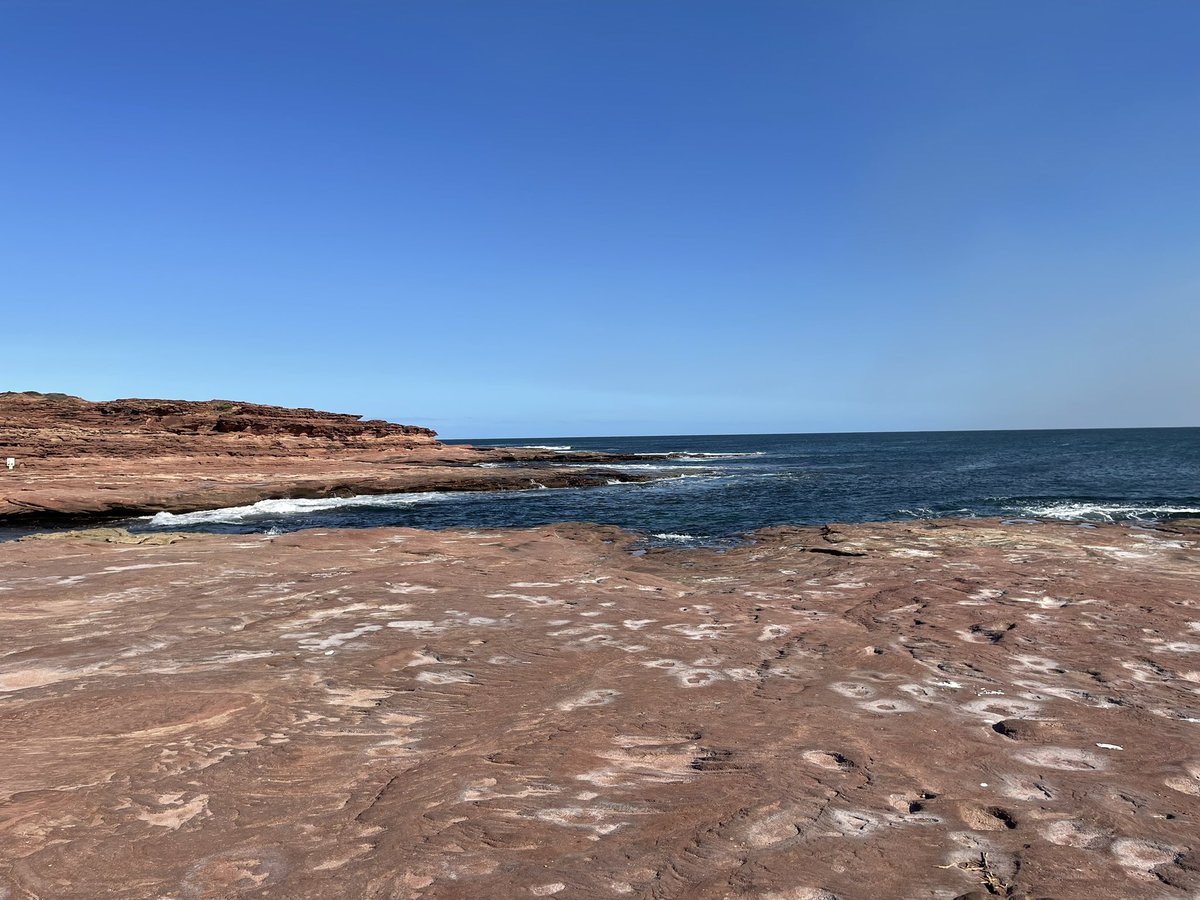 Plooooooooooopp's tweet image. 因为一路都是荒芜，除了公路就是红土矮灌木，哥哥问：What the point of this travel?
我说在澳洲travel有什么意义啊，寻找内心的宁静？🤣Travel就是为了看山看海看石头，看这里的沙这里的水跟那里的有什么不同。 
#澳洲行 
#RedBluff