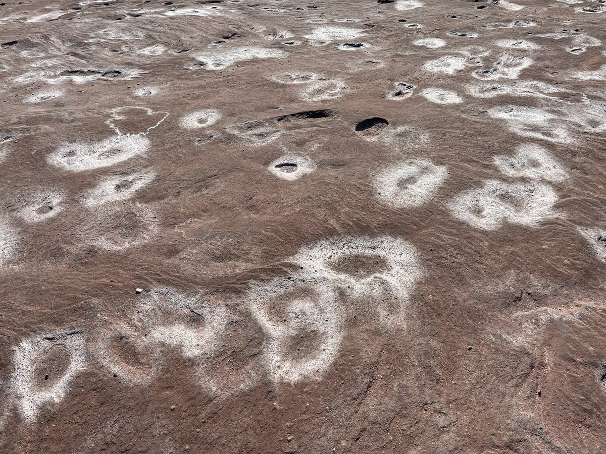 Plooooooooooopp's tweet image. 因为一路都是荒芜，除了公路就是红土矮灌木，哥哥问：What the point of this travel?
我说在澳洲travel有什么意义啊，寻找内心的宁静？🤣Travel就是为了看山看海看石头，看这里的沙这里的水跟那里的有什么不同。 
#澳洲行 
#RedBluff