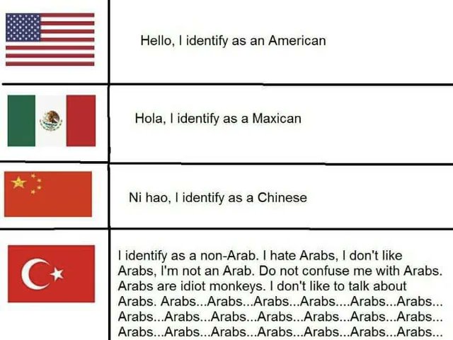 least anti-arab turk