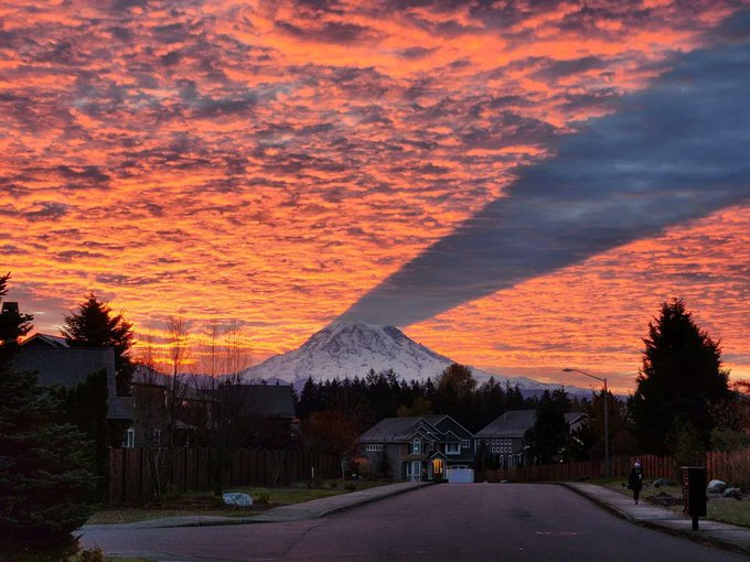 All objects, big or small, cast shadows and so do mountains. However, one particular peak displays a peculiar behavior – it cast shadows not only on the ground, but also up in the clouds. This photo of Mt Rainier was captured by Lisa Bishop 

[source: buff.ly/3u7D3zf]