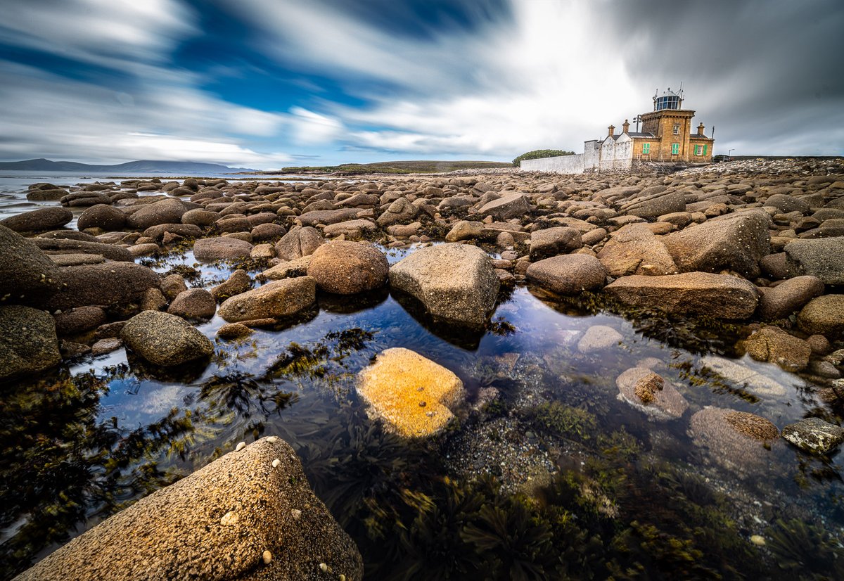 J Alisczech Brezina tweet media