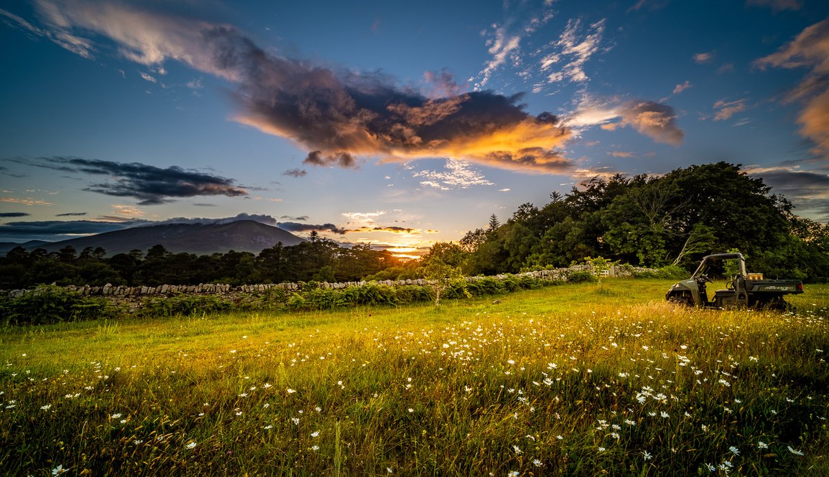 J Alisczech Brezina tweet media