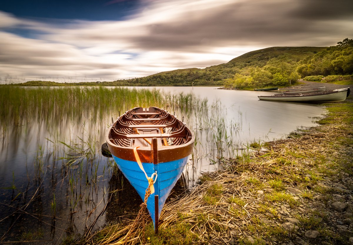 J Alisczech Brezina tweet media