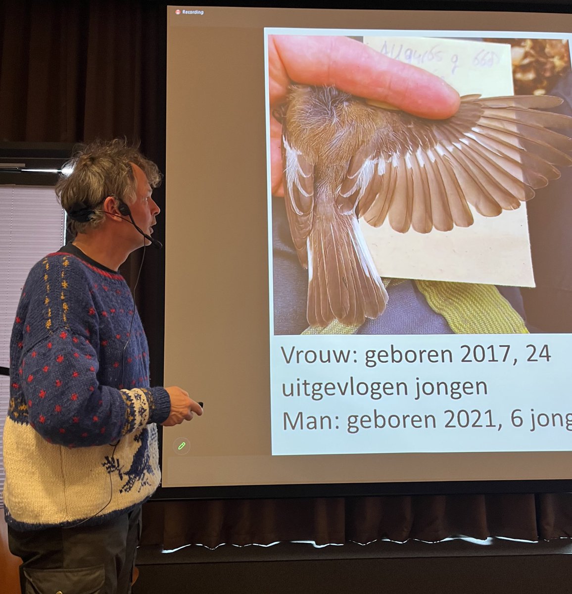 AstroJoeC's tweet image. Now for something a bit different for the @ASTRON_NL/@jivevlbi colloquia series. Christiaan Both of @univgroningen presents how climate change is impacting long distance migratory birds in the Dwingeloo National Park