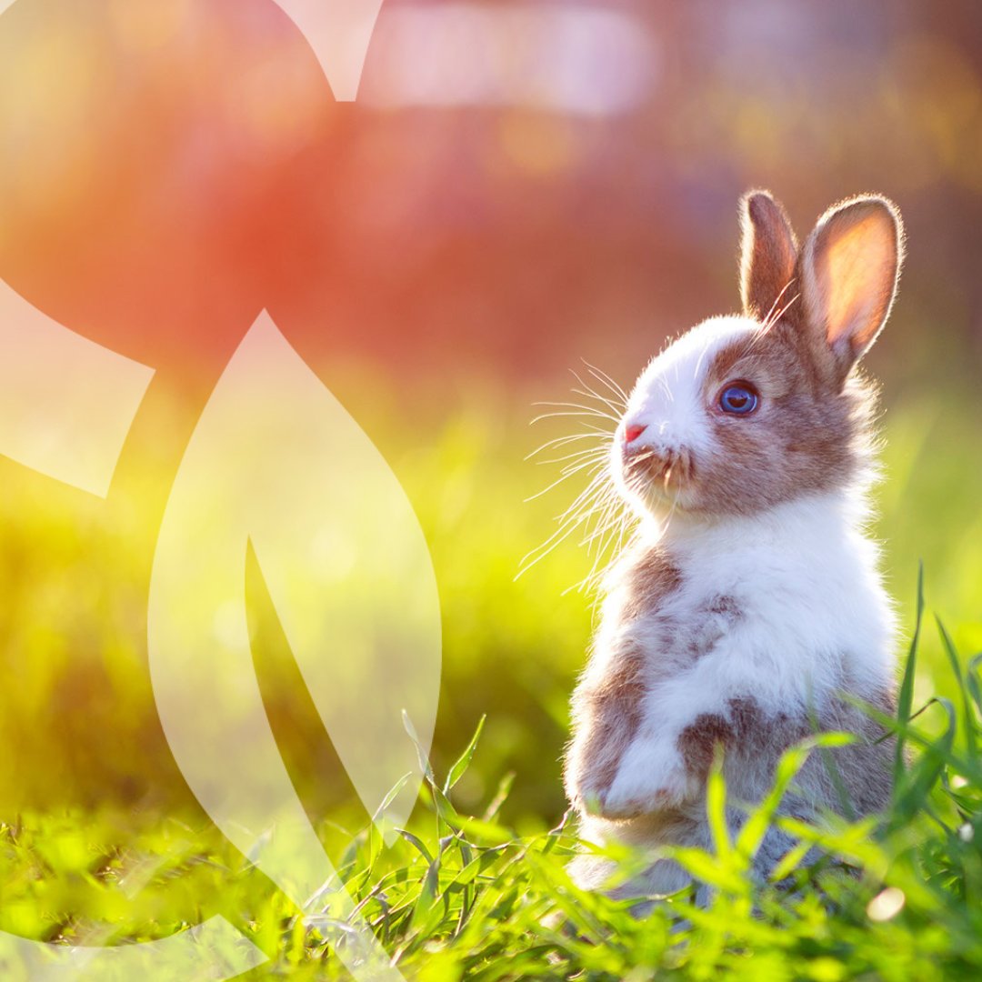 Seminaris Hotels tweet media