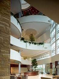 MSU Interventional Radiology tweet media