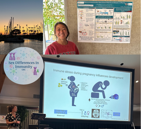 ICON__X's tweet photo. @NIH_ORWH U54 Scholar @JuliettaSheng gave a great talk at @GordonConf #SexDifferencesinImmunity. She is testing a prenatal maternal immune challenge on #sexselective offspring devt. Thrilled by these preliminary findings!
@MassGeneral @JillMGoldstein @ColoradoStateU #StuTobet https://t.co/ficbMntWta