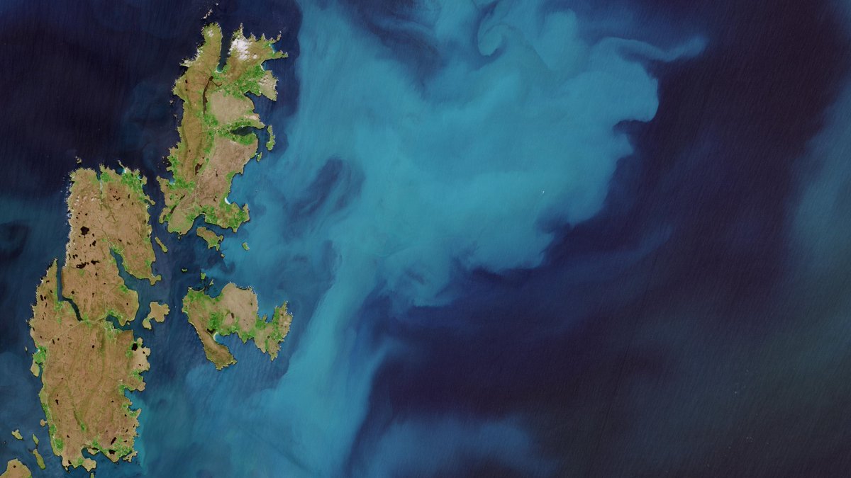 ESA_EO's tweet photo. Tiny but incredibly powerful!
Phytoplankton are tiny marine plants that pump organic carbon from the surface waters to the deep ocean.
But how can we monitor this process?
🧵Let's take a look:
🔗https://t.co/EvK4dAHQtd https://t.co/qCoc6LPmMd