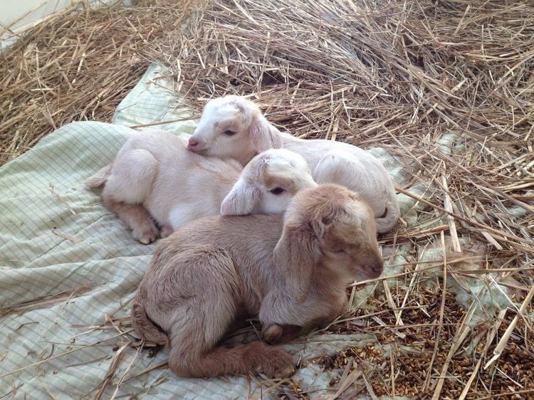 moonbisous's tweet image. Paris, Texas