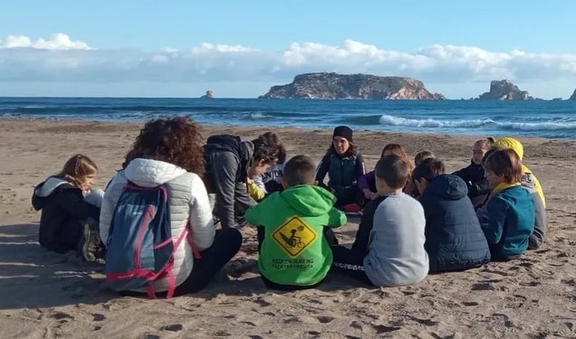 Miceli Coop tweet media