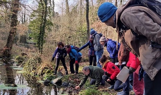 Miceli Coop tweet media