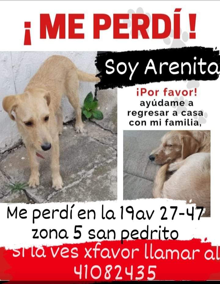 Gt502Mascotas's tweet photo. Arenita.... https://t.co/tlhUA6egTZ