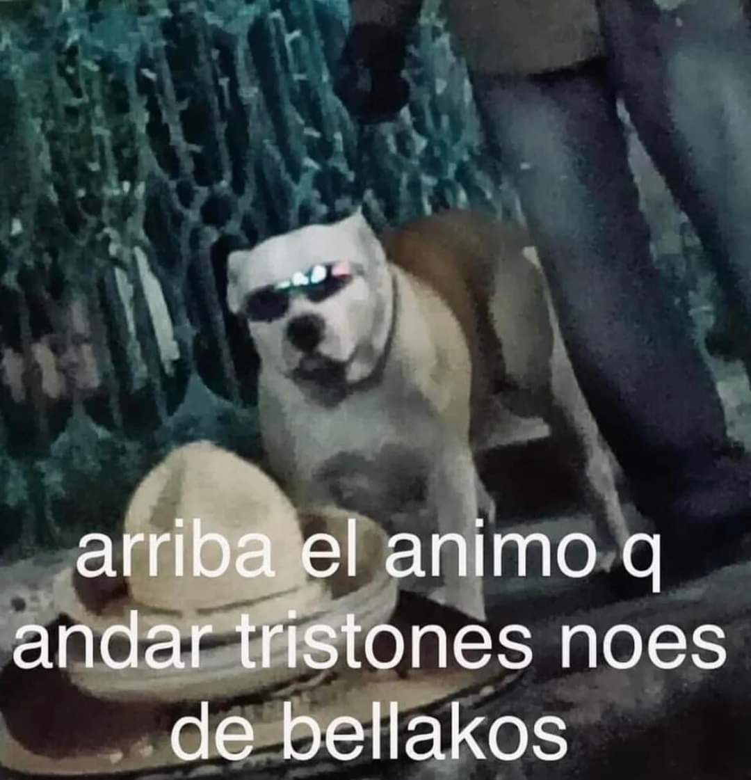MaferDH99's tweet photo. Jajaja Storytime de como quedé como estúpida https://t.co/Oubbv6tgnS