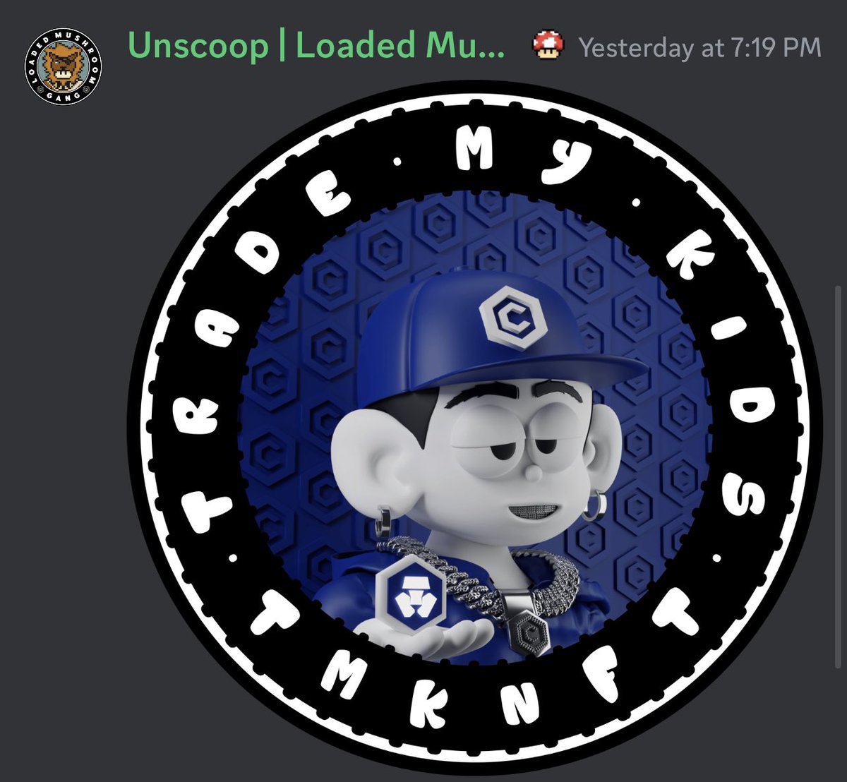 fgrm1979's tweet photo. Check out how cool the new #tmkgen2 badges looks. These were made in our @LoadedMushroom discord https://t.co/RSVTOmfTfA
#cro #crofam #fftb #nft #nftcollection https://t.co/IaRF3KzoA4