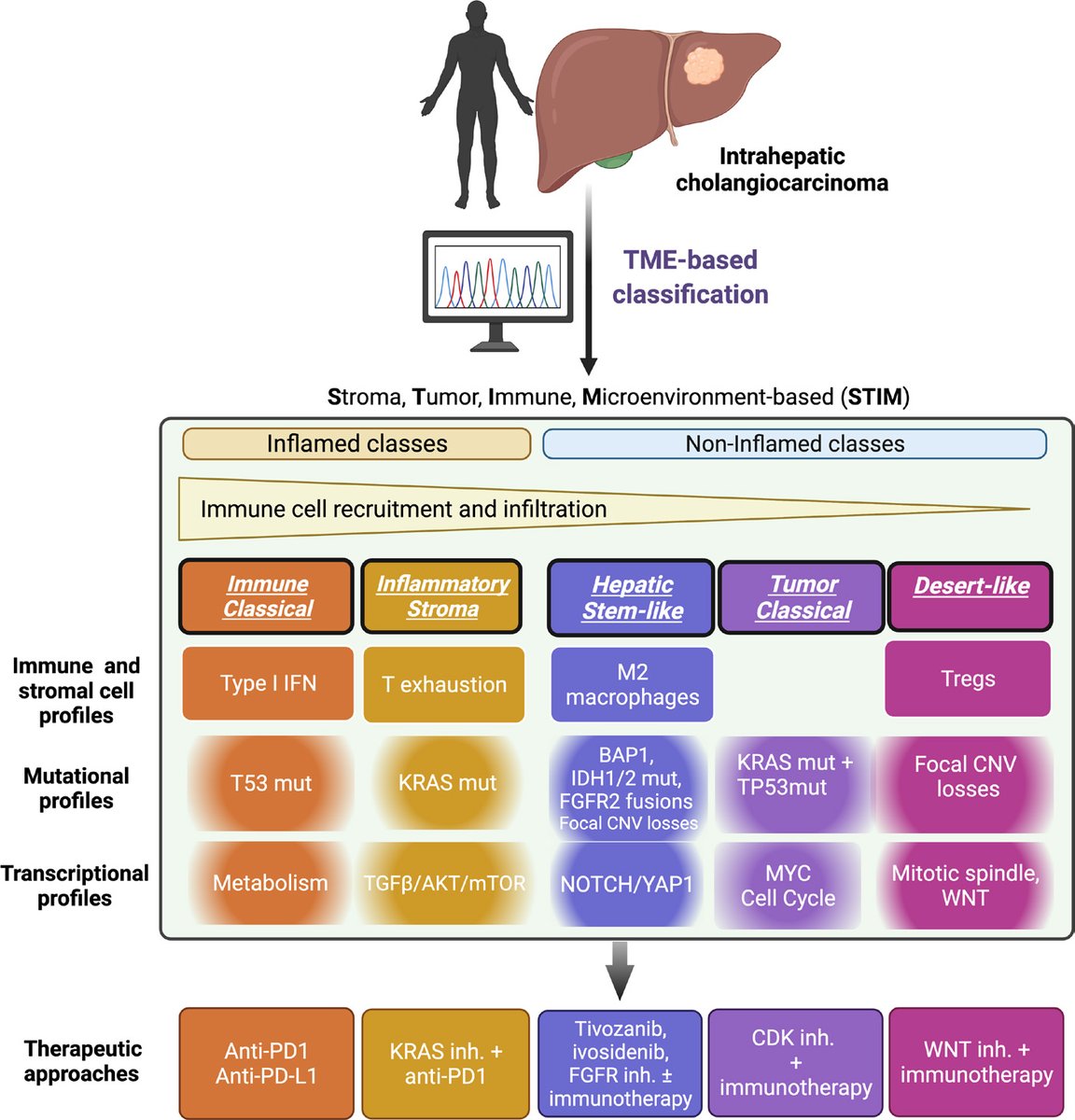 Gut_BMJ's tweet photo. #GUTImage from the commentary by Morita and Duda on

"Refining genetic and molecular classifications to facilitate breakthrough treatments in intrahepatic cholangiocarcinoma: are we there yet?" via 

https://t.co/wdaameoYOZ

#CCa #Cholangiocarcinoma https://t.co/lO9qZBEC7J