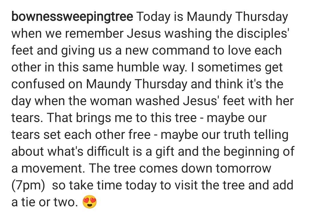 NikaylaReize's tweet photo. The Weeping Tree is taken down tomorrow at 7:30pm! Join us if you'd like or come before then and add a tie. https://t.co/BJBBJHk0b0