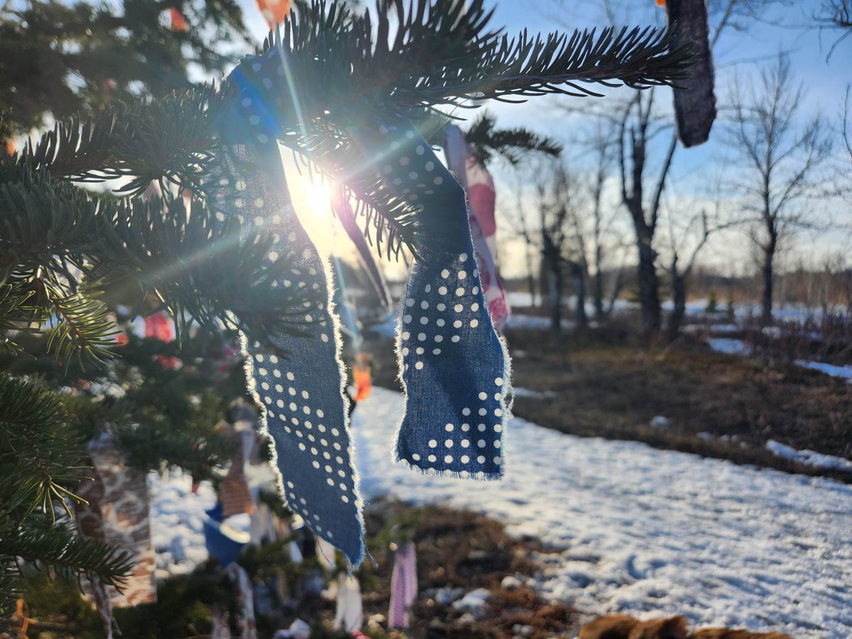 NikaylaReize's tweet photo. The Weeping Tree is taken down tomorrow at 7:30pm! Join us if you'd like or come before then and add a tie. https://t.co/BJBBJHk0b0