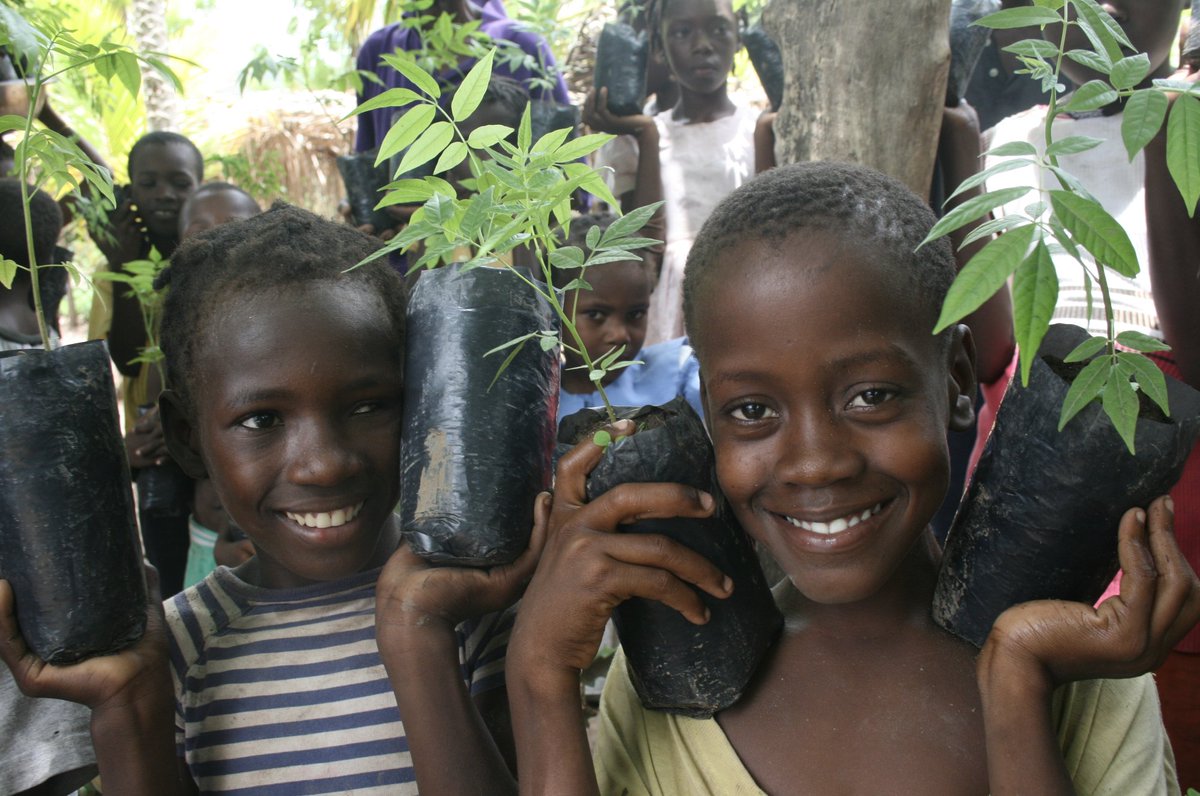 The VF Foundation tweet media