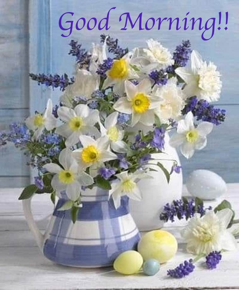 Alice Nine tweet media