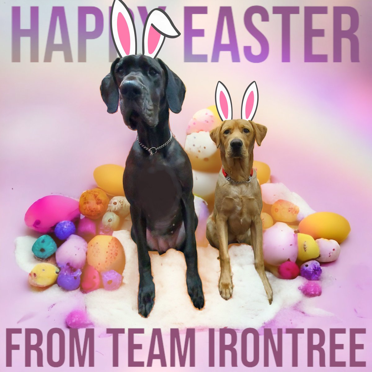 IronTreeDesigns's tweet image. Just a quick reminder that we are closed Good Friday and Easter Monday.
Happy Easter everyone
#teamirontree #retford #smallbusiness #printing #easter