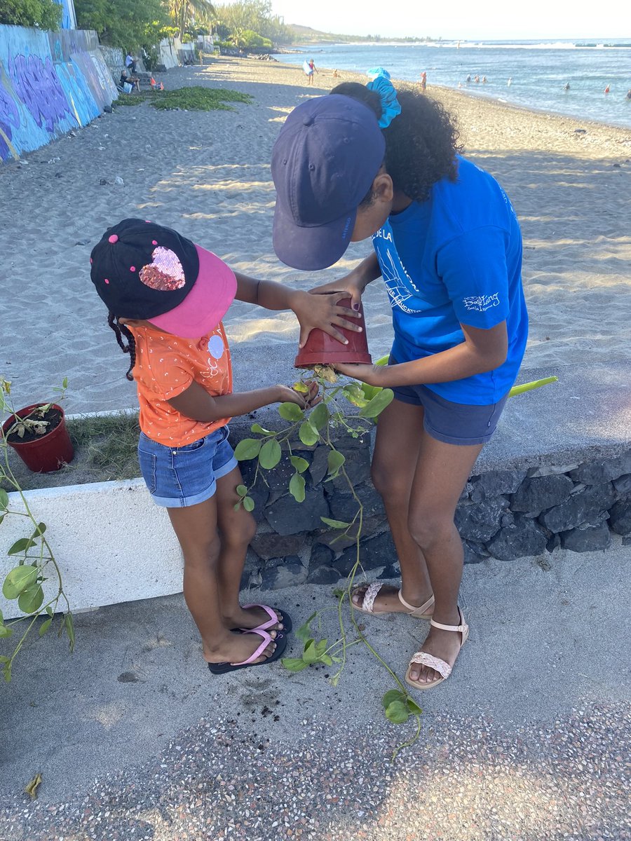 AME974StLeu's tweet photo. Voici les CM2 engagés dans un nouveau projet éco-citoyen avec des CP : sensibilisation des petits sur l’importance de revégétaliser nos plages + plantation de lianes fournies par la mairie  + arrosage collectif. 🌎Une belle action pour la 🌏 @OFBiodiversite @Teragir @DocBiodiv https://t.co/sqenMUBxmF