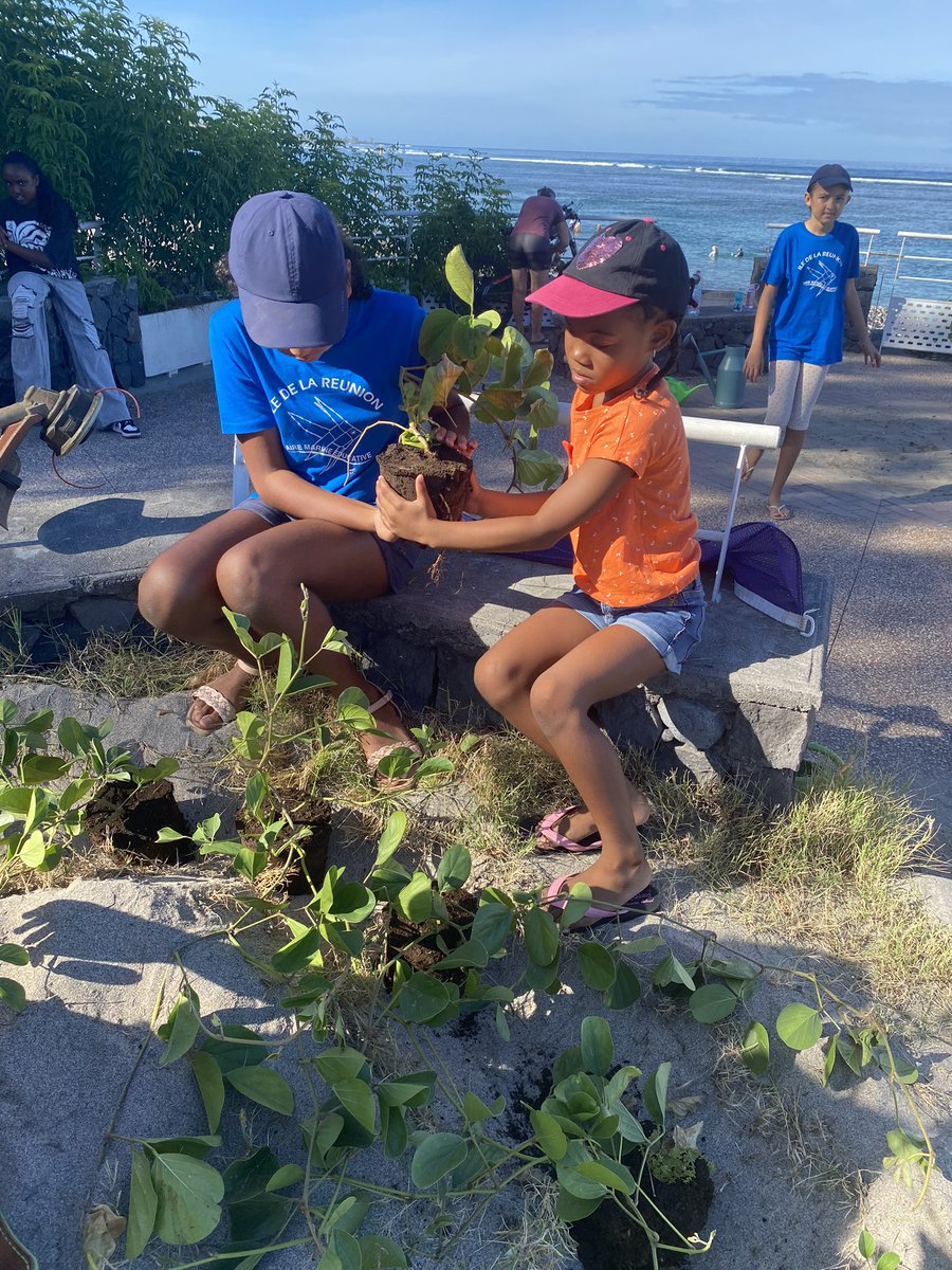 AME974StLeu's tweet photo. Voici les CM2 engagés dans un nouveau projet éco-citoyen avec des CP : sensibilisation des petits sur l’importance de revégétaliser nos plages + plantation de lianes fournies par la mairie  + arrosage collectif. 🌎Une belle action pour la 🌏 @OFBiodiversite @Teragir @DocBiodiv https://t.co/sqenMUBxmF