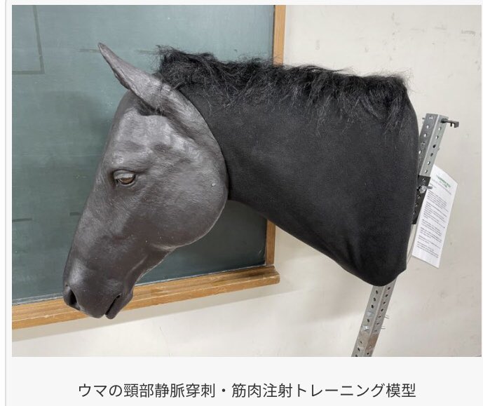 Shino011969 tweet picture