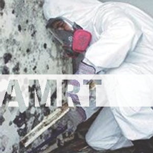 Safetyex's tweet image. In the #Mississauga area? Looking for an In-Person #AMRT? Check out our class on April 18th!

safetyexpress.com/amrt-in-person…