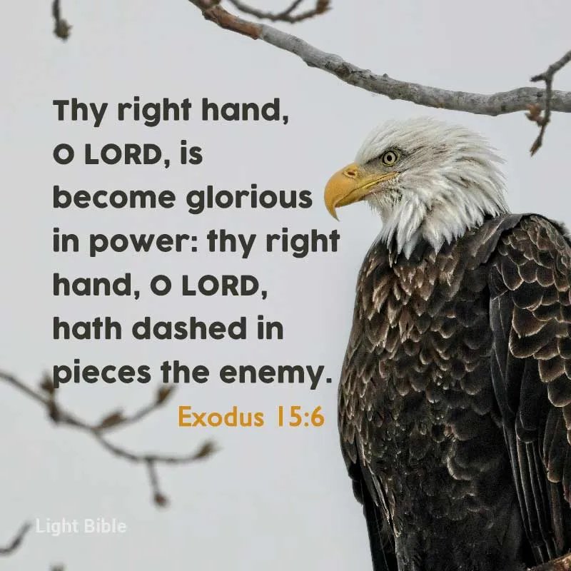 HannabePagaran's tweet photo. God is still in the business of helping us overcome all problems and challenges that appear to be bigger than us. They may be bigger than us, but they will never be bigger than God.
#programming 
#webdesigner 
#tweet
#fypシ 
#BibleVerse 
#SpreadLove 
#designer 
#viralpost https://t.co/m5MYphUM5F