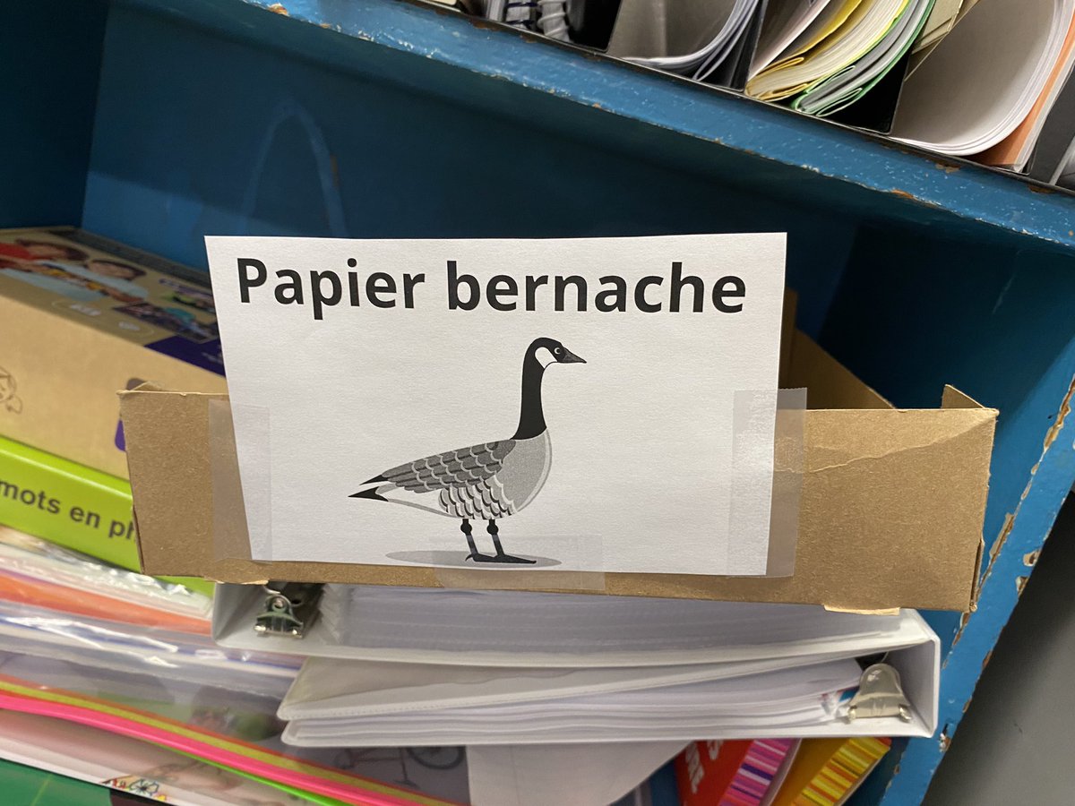 C’est  la journée nationale du papier BERNAche !📄
11 nouvelles BERNAches créés cette année à l’école Nouvel Horizon! 🎉🎉#PapierBERNAche23
<a href="/EcoEcolesCAN/">ÉcoÉcoles Canada</a>