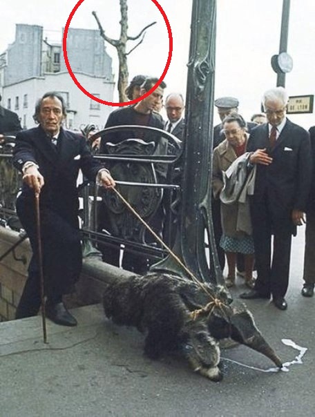 Frequency72's tweet photo. @andtartary2 Dali was a 72. Here's your clue #karistus https://t.co/a3OVsRznOs