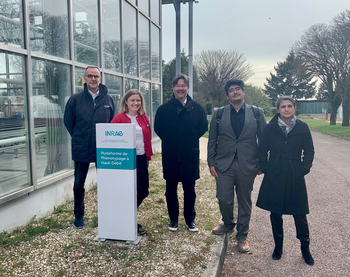 Business France (Invest) tweet media