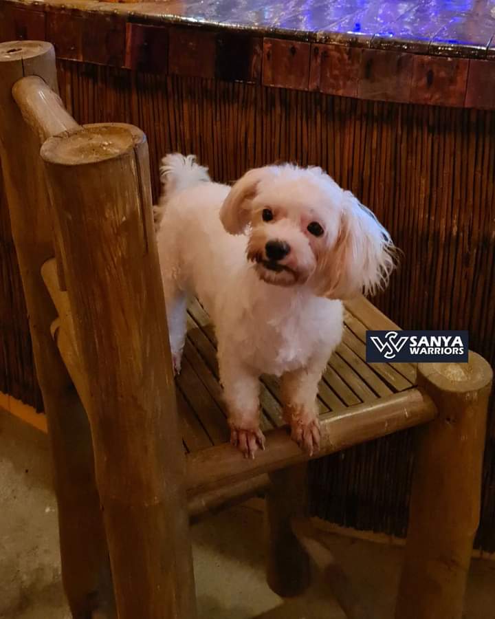 ravenmilkah_'s tweet photo. Happy Birthday Cotton! 🎉💕
@sanyalopez #sanyalopez
#Repostfrom @SanyaWarriors https://t.co/Hbd2GRqBUf