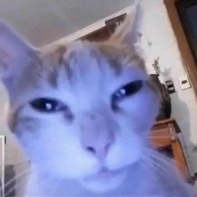 DaddyLitbreaker's tweet image. || I've clearly been off this app for entirely too long because what is it about this update that has way too many people I don't follow on my home page?