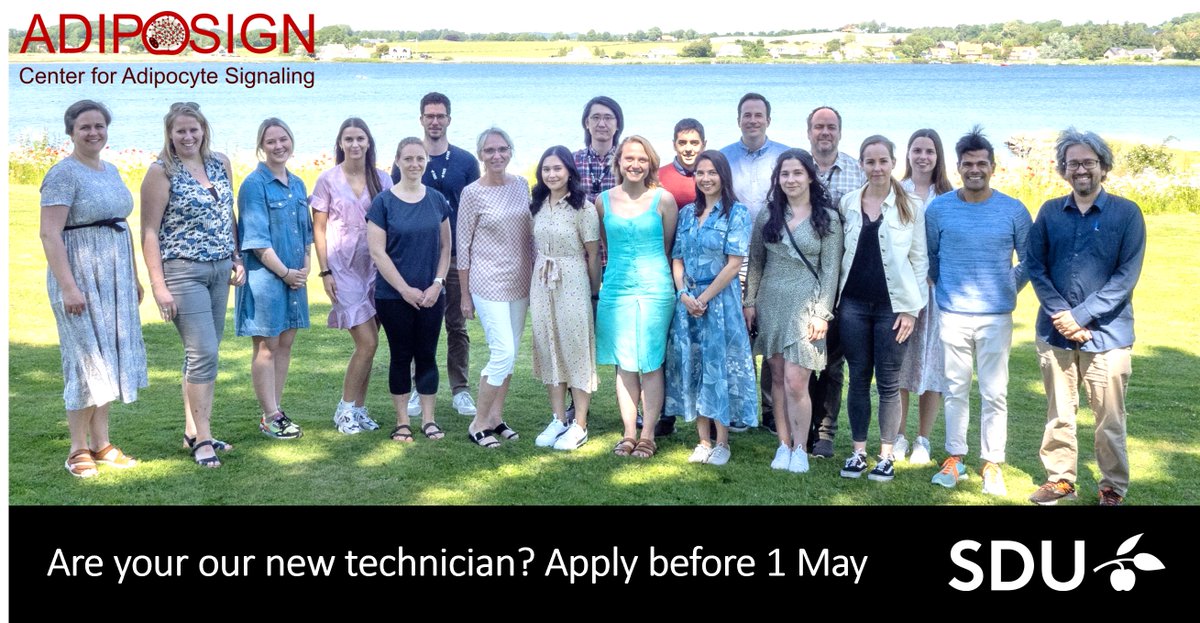 Susanne Mandrup (@susmandrup) on Twitter photo Open position as technician in ADIPOSIGN at <a href="/SyddanskUni/">Syddansk Universitet</a>. Do you like to work in a vibrant and international environment, and are you looking for opportunities to enhance your skills? Then see below.
๐ฉโ๐ฌ ๐ Please RT! ๐
lnkd.in/e9tjbkBH
#sciencejobs Open position as technician in ADIPOSIGN at <a href="/SyddanskUni/">Syddansk Universitet</a>. Do you like to work in a vibrant and international environment, and are you looking for opportunities to enhance your skills? Then see below.
๐ฉโ๐ฌ ๐ Please RT! ๐
lnkd.in/e9tjbkBH
#sciencejobs