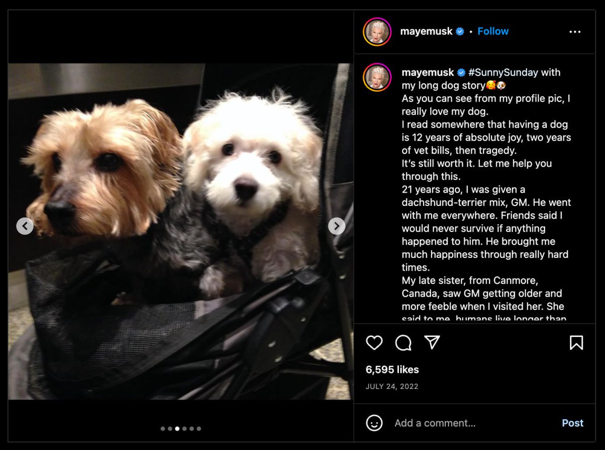 GM_Ethereum's tweet photo. @DelReyInu GM was #DELREY's best friend before he passed away https://t.co/Z6ZsyZSnpM