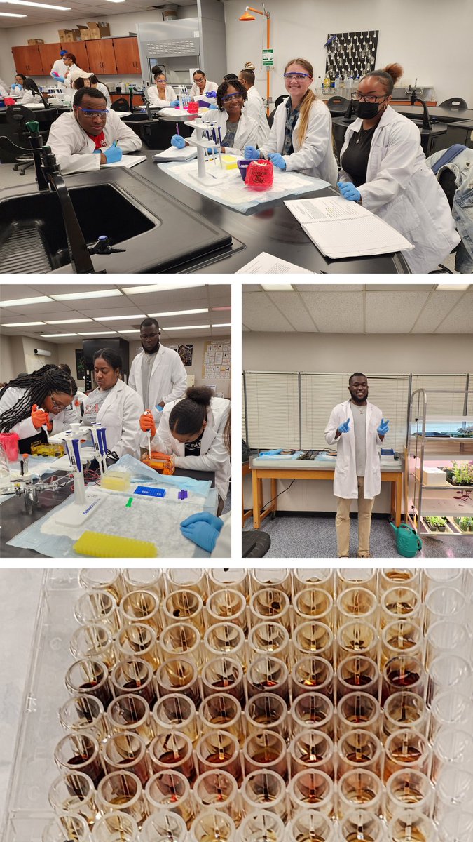 revealplant's tweet photo. Last wet labs for the term for Molecuar Biology🧪🧫🧬 #ECSU.  Still have data collection, analyses📊, and presentations.  Multitasking: while gel is running for multiplex PCR @edvotek, do ELISA @AquaPhoenixEDU.  👍🏼 K. Dia. Exam 4 will compare COVID-19 and avian flu viruses 🦠 https://t.co/L5zdP5EIBT