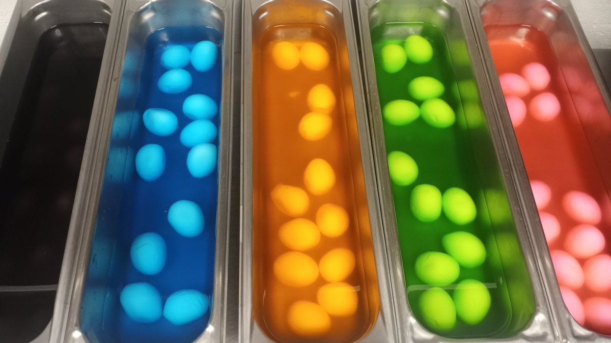 Some colorful egg for the salad bar today 
🐰🥚🌸
<a href="/RossRockets/">Ross Rockets</a> 
<a href="/CCS_SNProgram/">CCS Nutrition</a>