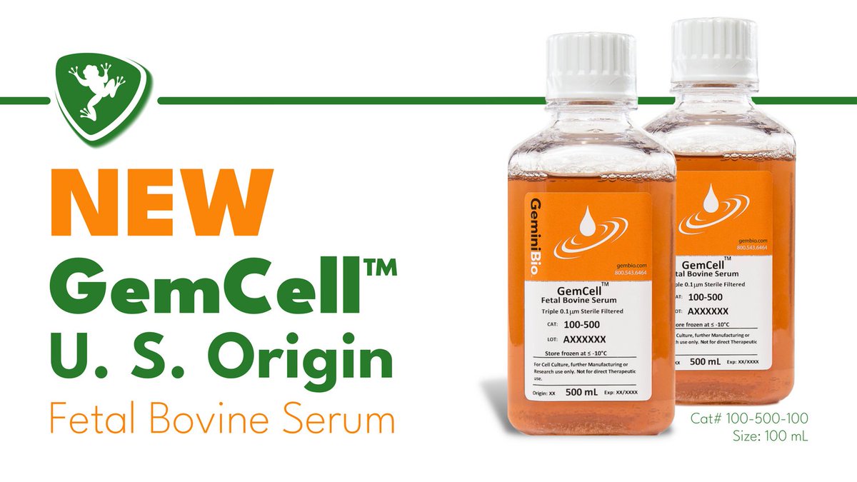 FroggaBio's tweet photo. Checkout the NEW GemCell™ US Origin Fetal Bovine Serum by GeminiBio! FREE Samples will be provided for orders of 20 bottles or more. 🐸🧪
BUY HERE: https://t.co/DE1UQrCaCc
#GemCell #Fetal #Bovine #Serum #FBS #FetalBovineSerum #cGMP #USOrigin #Filtered #Biochemical #FroggaBio https://t.co/vA0FgeqmcJ