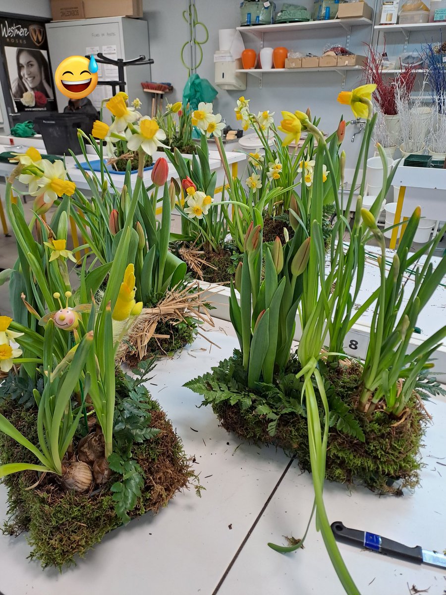 Réalisation de compositions de Pâques 🐣🌷piquées de style végétatif 🐝🦋 par les 4.1 Segpa.
Tomorrow, the 3.1s take over for  the Easter sale at 10 a.m. in the teachers' room with Mr <a href="/PompeySylvain/">Sylvain Pompey</a> 🇬🇧
⚠️ flash sale ⚠️  Please, prepare the change 8€ 😅 Thank a Lot 😃