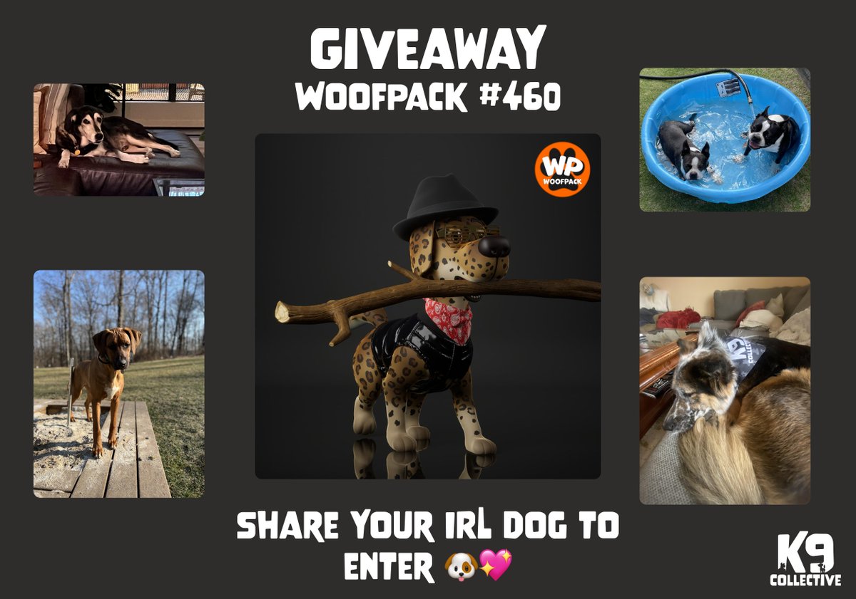 Here at K9C we're all about celebrating man's best friend 🐶

So today let's celebrate 🥳 with a GIVEAWAY of WoofPack #460 #nft

The rules?
1. Share a pic of your favorite IRL dog below! Captions encouraged
2. Like, RT, &amp; follow <a href="/K9CollectiveDAO/">The K9 Collective</a>