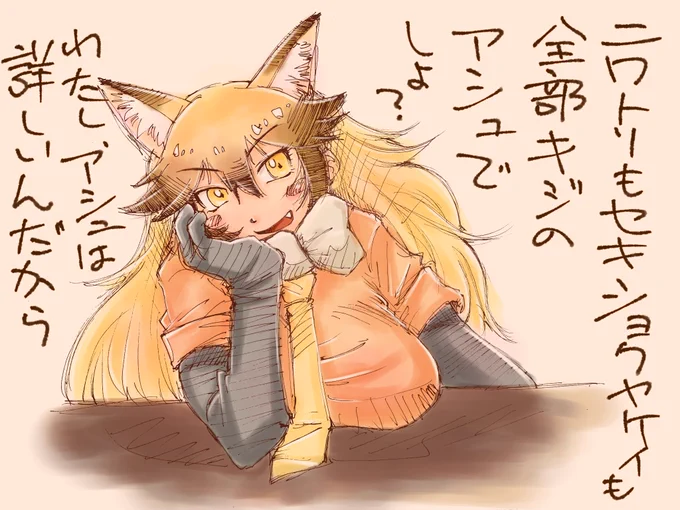 「科」というものの理解を
根底から間違えているアカギツネさん
#けもフレ3 