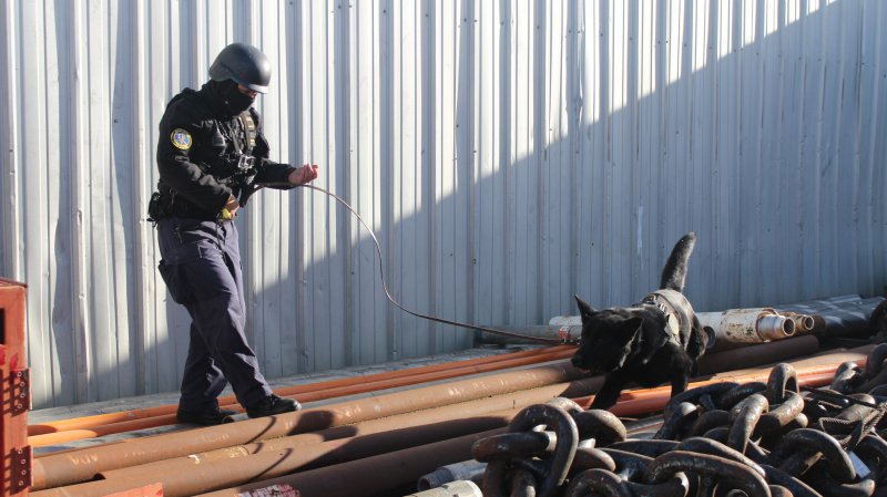 Armada_Chile's tweet photo. Autoridad Marítima de Punta Arenas controló proceso de desconsolidado de carga peligrosa junto a binomio canino

Conoce todos los detalles en https://t.co/uBfXHtw5MB 👈

#ArmadaTeCuida #ArmadaEnMagallanes https://t.co/N9gy9m2oL6