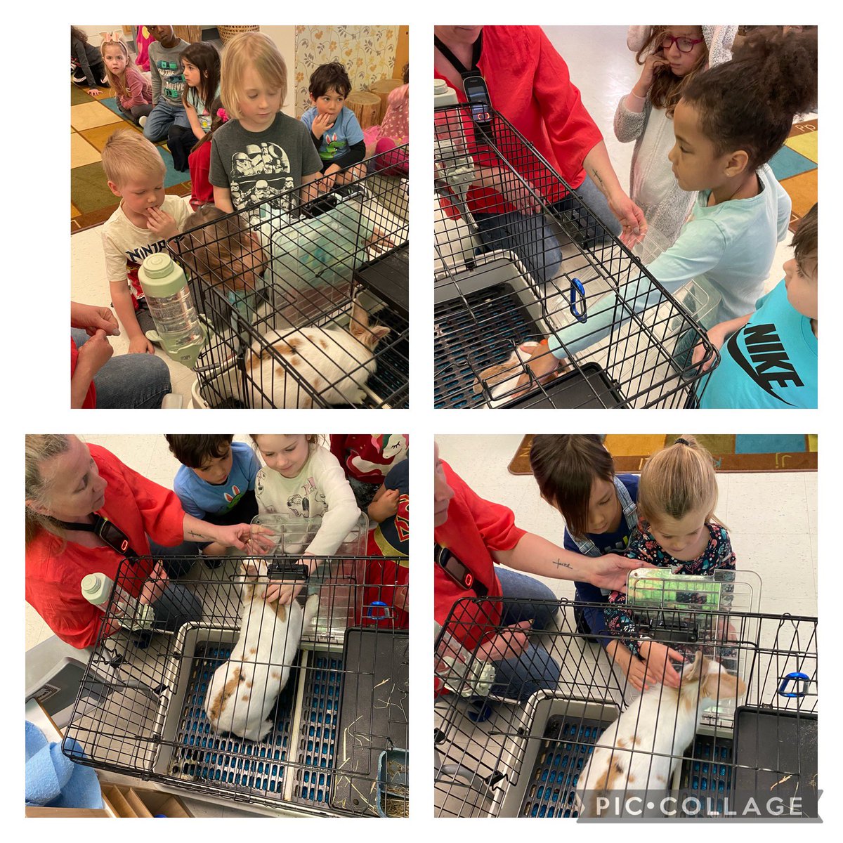 Mrs. C. GUA tweet media