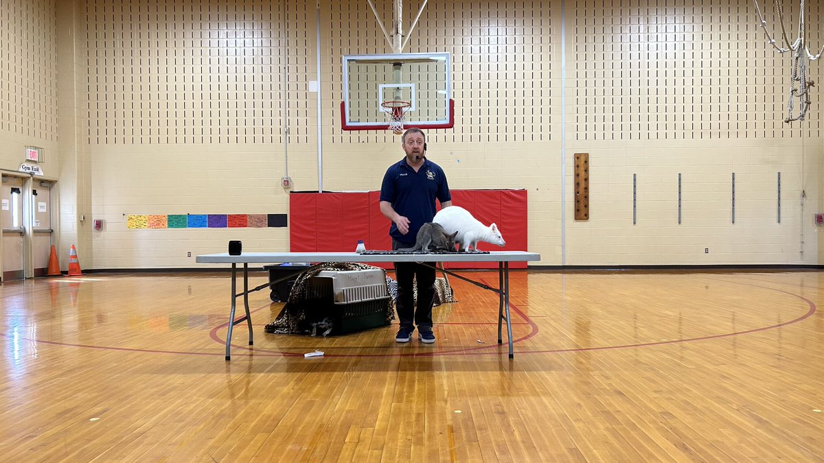 Mrs. Schrum tweet media