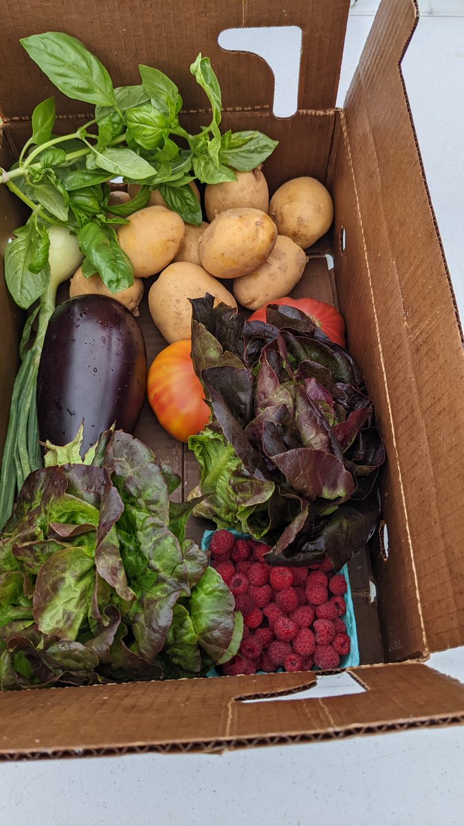 lewbryson's tweet photo. New episode of #SeenThroughAGlass is up!
Ep.11 is about CSAs, produce 'subscriptions' that bring you a box of fresh food every week. Interviews with 2 CSA farmers, how to make pulled pork for 60 guests, &amp; @PloughmanCider !
Get it here: https://t.co/HghmK3CGu5 https://t.co/IIcHsiDLm3