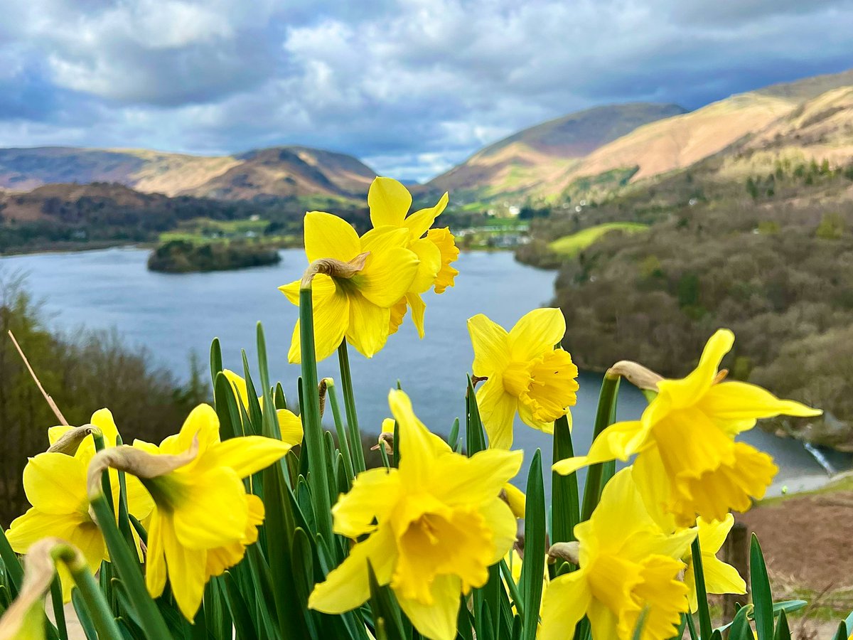 #MaundyThursday in #Grasmere.

Sunshine, spitty showers and a sharp breeze…

#LakeDistrict #LoveUKWeather 
@StormHour @ThePhotoHour @DaffodilHotel @RPC_Wordsworth 
@Ross_Hutchinson @BBCLN