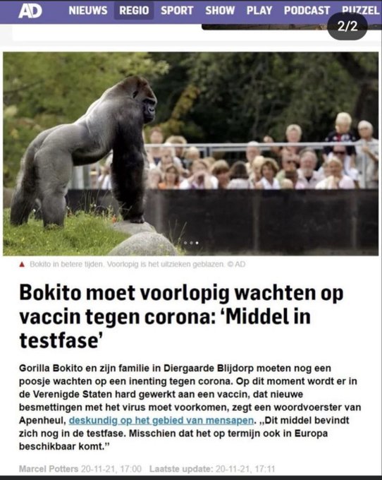 Bokito onverwachts overleden door hartfalen. Maar komt vast niet door die heilige prik #bigmaffiapharma<a href="/tag/bigmaffiapharma"class="tags"><span>#bigmaffiapharma</span></a>